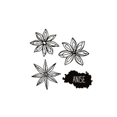 Hand drawn sketch style anise set. Vector illustration. 