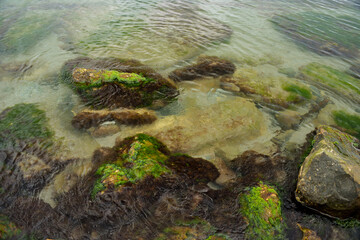calm sea, small waves, clear and transparent water, small sand near the shore