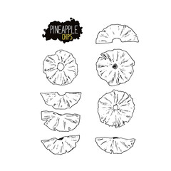 Hand drawn sketch style pineapple chips set. Vector illustration. 