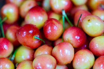 Beautiful fresh cherry macro photo. Cherries background.