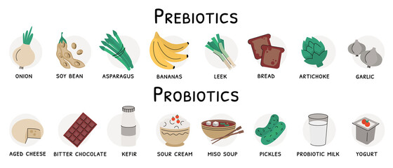 Flat vector illustration of probiotic and prebiotic sources. Products with these bacteria are nutrient rich food such as soy beans, garlic, artichoke, bread, cheese, yogurt, dark chocolate, kefir - obrazy, fototapety, plakaty