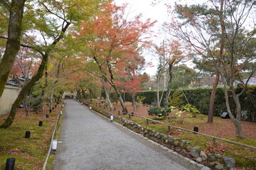 紅葉の京都