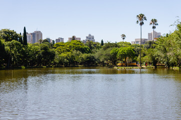 lake in the park - vegetação nas margens lago do Parque Farroupilha - Porto Alegre - Rio Grande do Sul