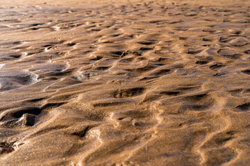 A structure made of wet sand with a reflection of the sun on the beach close-up with space for text. Background of sand in sunlight.