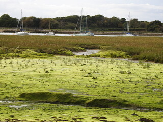 View of the lagoon with a small amount of water
