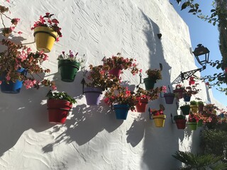 Bright flower pots on a white wall in a typical Andalusian town in the south of Spain