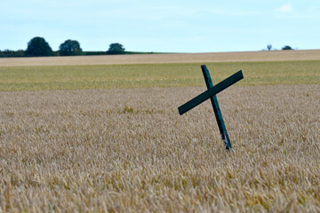  bauern-protestkreuz