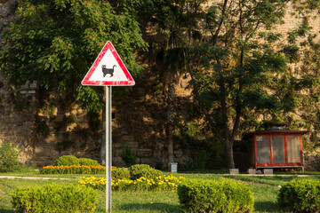 Funny road sign: attention cat. Turkey, Antalya
