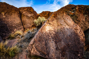 desert plants and boulders landscape background