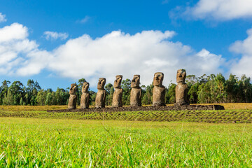 Seven Ahu Akivi Moai, which are the only Moai to face the sea. Easter Island.