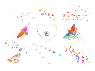 Bird watercolor. A flock of colorful birds. Vector illustration