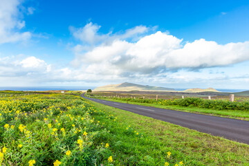 Road in Easter Island, Rapa Nui. Chile.