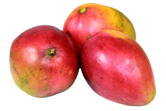 mangos