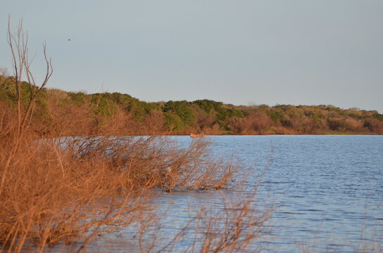 river nature uruguai barra quarai rio grande do sul fish