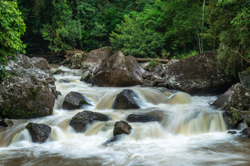 Fototapeta premium small waterfall in the forest