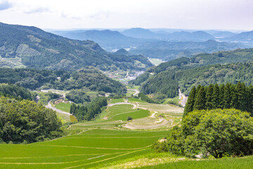 蕨野の棚田　佐賀県唐津市　Warabino Rice terraces Saga-ken Karatsu city