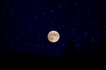 Fototapeta na wymiar Full moon in the night sky