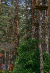 Fototapeta na wymiar Rope park. Cables are installed. Balancer and rope bridges. Rope Park-mountaineering center of the forest Park. Russia. Tatarstan. 01.07. 2020