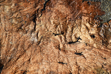 Old vintage brown parchment texture