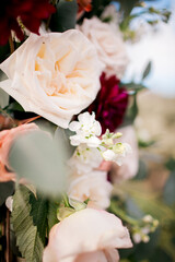 Flowers in the desert