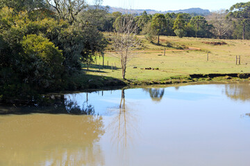 Obraz premium lake in the forest