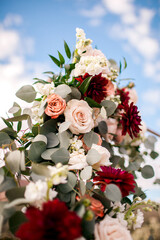 Flowers in the desert