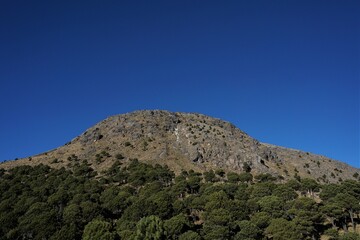 View of the summit of a volcano/mountain in a sunny day with a blue sky and the forest in the front