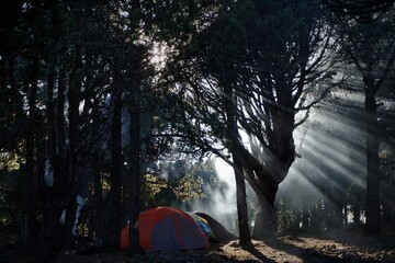 Morning camping tent view in a cold weather in the middle of a forest in a mountain