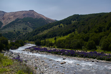 Fototapeta na wymiar Cerro con bosque junto a un río