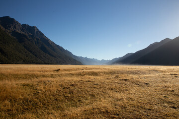 Fototapeta premium A misty afternoon in a savannah surrounded by mountains New Zealand