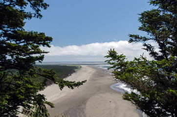 Firs framing aerial view of Benson Beach