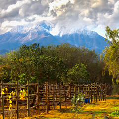 Fototapety na wymiar - Fototapeta24.pl