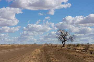 Cattle country near Longreach, Queensland, Australia in a season of drought.