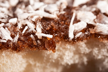 Ultra macro photo of a soft and fluffy lamington with a rich chocolate layer and fine shredded coconut