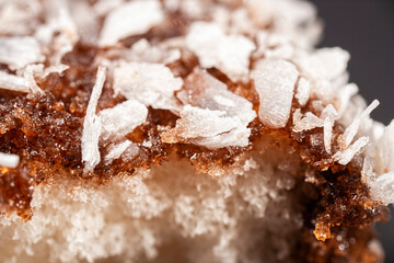 Ultra macro photo of a soft and fluffy lamington with a rich chocolate layer and fine shredded coconut