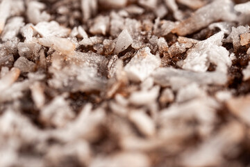 Ultra macro photo of a soft and fluffy lamington with a rich chocolate layer and fine shredded coconut