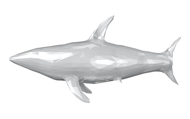 White polygonal shark