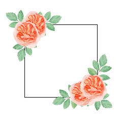 frame with roses