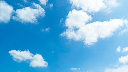 Fototapeta premium 青空