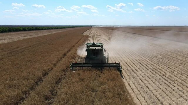  Beautiful landscape of mature rapeseed harvested by harvesters