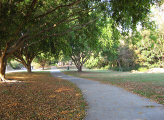 Path way and road leading through a beautiful, peaceful Suburban area of Bardon in Brisbane, Queensland