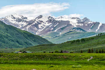 Mount Crested Butte near Gunnison, Colorado village in summer with green grass hill and snow mountains with alpine meadows in early summer
