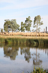 Housing estate located in Clyde North, near Berwick, Victoria featuring lake surrounded by plants and walking tracks.  The future of urban housing and green space