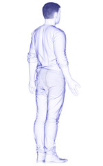3d rendered illustration of the male body