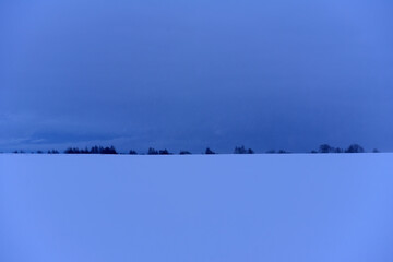 snow-covered expanse of field with trees