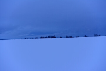 snow-covered expanse of field with trees