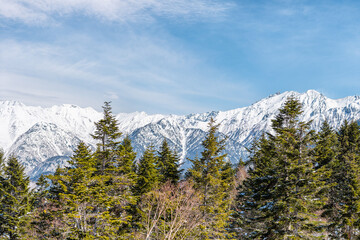 Takayama, Japan panorama view in Shinhotaka Ropeway in Gifu Prefecture mountain park with green pine trees on peak and blue sky Japanese Alps