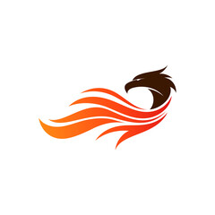 Eagle logo , Eagle logo vector template, Falcon wing logo template