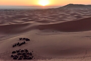 モロッコの旅・サハラ砂漠の夜明け