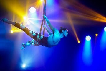 American strong sexy man do performance on aerial straps in blue and yellow lights, drop on aerial...